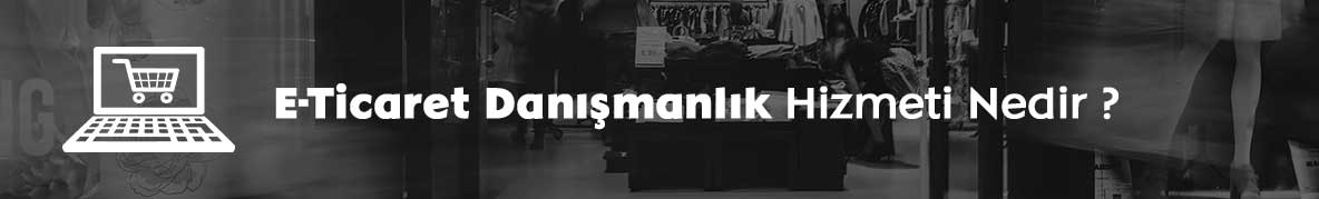 E Ticaret Danışmanlık Hizmeti